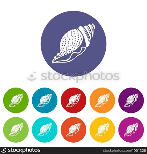 Nature shell icon. Simple illustration of nature shell vector icon for web. Nature shell icon, simple style