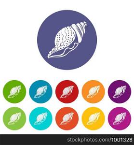 Nature shell icon. Simple illustration of nature shell vector icon for web. Nature shell icon, simple style