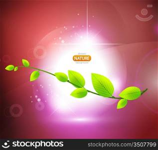 Nature shiny vector background. Leaves