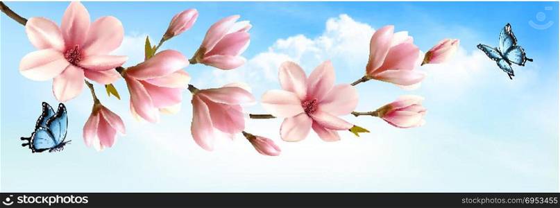 Nature spring background with beautiful magnolia branches and butterfies. Vector.