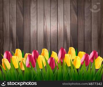 Nature spring background with colorful tulips on wooden sign. Vector.
