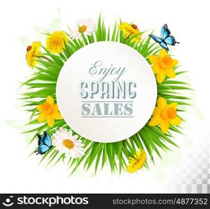 Nature spring background with narcissus, daisies and butterflies. Vector.