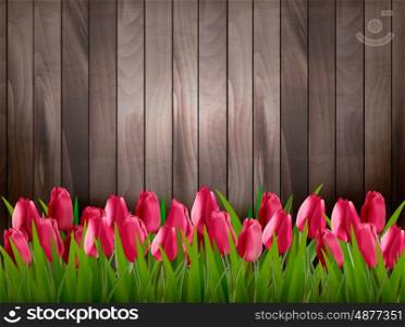 Nature spring background with red tulips on wooden sign. Vector.