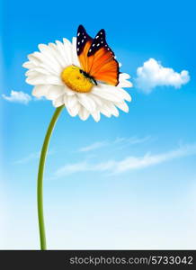 Nature spring daisy flower with butterfly. Vector illustration