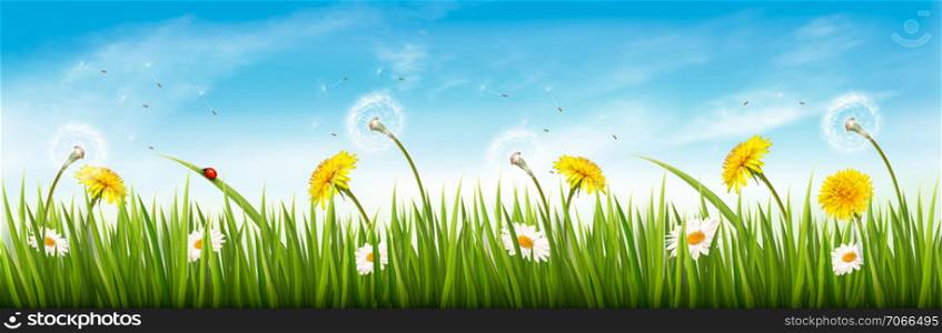 Nature spring panorama with green grass, flowers and a blue sky. Vector.