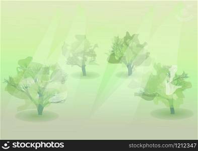 nature summer abstract. abstract tree and sunny background