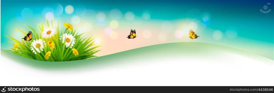 Nature summer background with grass, flowers and butterflies. Vector.