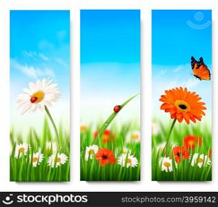Nature summer banners with colorful flowers and butterfly. Vector.