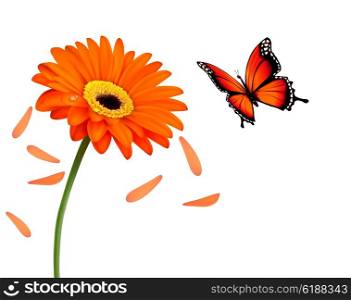 Nature summer orange flower with butterfly. Vector illustration.