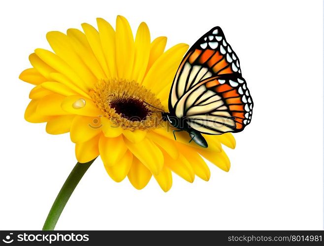 Nature summer yellow flower with butterfly. Vector illustration.