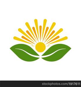 nature sun and leaf logo