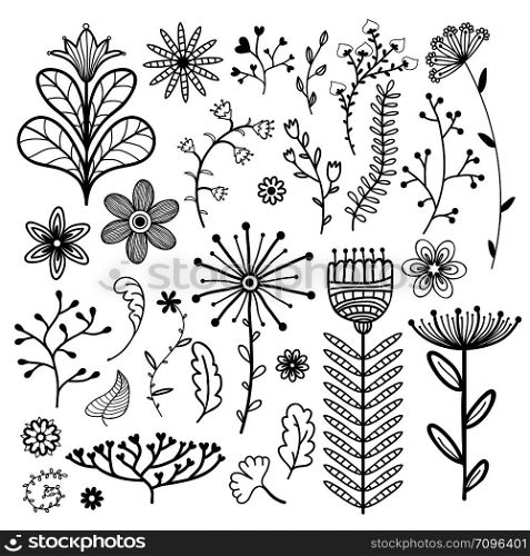 Nature vector collection. Illustration with flowers, branches and leaves. Web design decoration.. Nature vector collection. Illustration with flowers, branches and leaves. Web design decoration