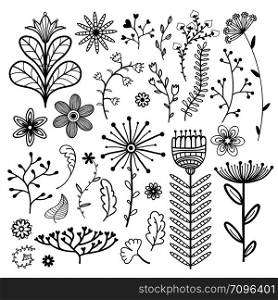 Nature vector collection. Illustration with flowers, branches and leaves. Web design decoration.. Nature vector collection. Illustration with flowers, branches and leaves. Web design decoration