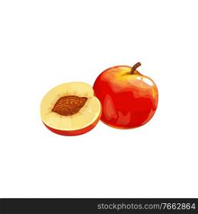 Nectarine peach fruit icon, tropical exotic food, vector isolated. Nectarine peach fruits half cut and whole, tropic farm juicy exotic fruits harvest, sweet dessert ingredient. Nectarine peach fruit icon, tropical exotic food