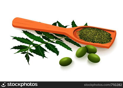 Neem branch, flowers, leaves, fruits and pods, powder in wooden spoon. Ayurveda Herb. Used for alternative medicine, ayurveda, cosmetics, health care, aromatherapy text copy space. Neem branch, flowers, leaves, fruits and pods, powder in wooden spoon. Ayurveda Herb.