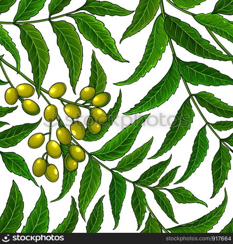 neem vector pattern on white background. neem vector pattern