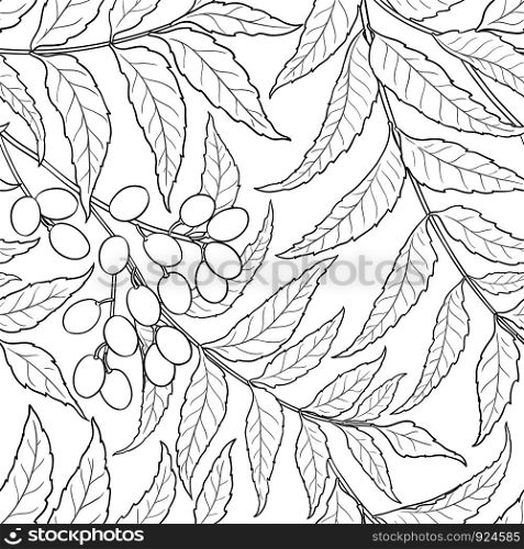 neem vector pattern on white background. neem vector pattern
