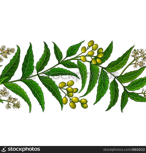 neem vector pattern on white background. neem vector pattern