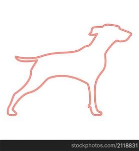 Neon hunter dog or gundog red color vector illustration image flat style light. Neon hunter dog or gundog red color vector illustration image flat style