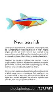 Neon tetra fish isolated on white. Freshwater aquarium pet silhouette hand drawn graphic icon on blank background cartoon style vector illustration. Neon Tetra Aquarium Fish Isolated on White Graphic