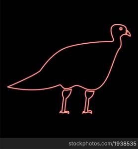 Neon turkeycock red color vector illustration flat style light image. Neon turkeycock red color vector illustration flat style image