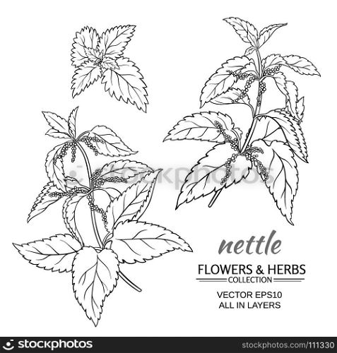 nettle vector set. nettle plant vector set on white background