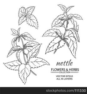nettle vector set. nettle plant vector set on white background