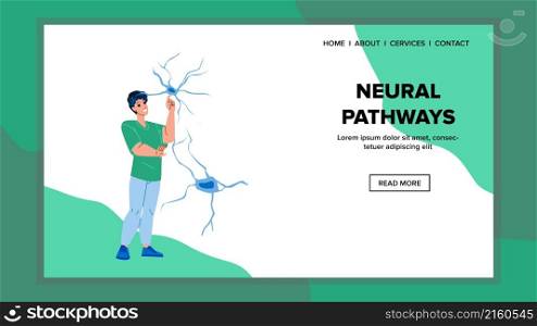 Neural pathways brain. nervous system. human science. pathway biology. neuron anatomy character web flat cartoon illustration. Neural pathways vector