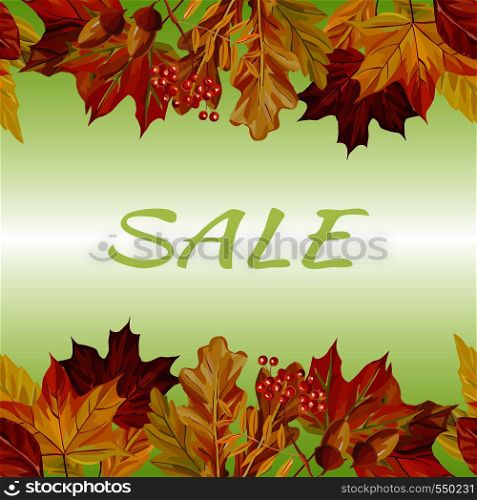 New autumn border rowan acorn maple leaves sale text background