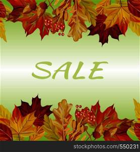 New autumn border rowan acorn maple leaves sale text background