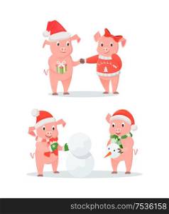 New Year piglets couples, gift box and snowman. Male and female pigs exchanging presents, outdoor activity in snow, Santa hat vector illustrations. New Year Piglets Couples, Gift Box and Snowman