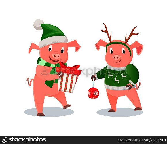 New Year piglets in knitwear, gift box and ball. Christmas tree decor, pig in deer horns, present, scarf and hat, winter holidays vector illustrations. New Year Piglets in Knitwear, Gift Box and Ball