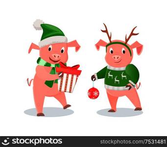New Year piglets in knitwear, gift box and ball. Christmas tree decor, pig in deer horns, present, scarf and hat, winter holidays vector illustrations. New Year Piglets in Knitwear, Gift Box and Ball