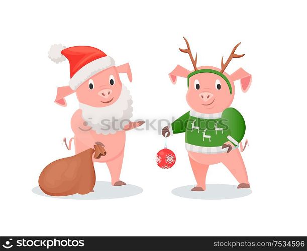 New Year pigs in Santa and deer costumes set. Farm animals in hat and beard or deer horns with knitted sweater, gifts sack and ball vector illustrations. New Year Piglets in Santa and Deer Costumes Set