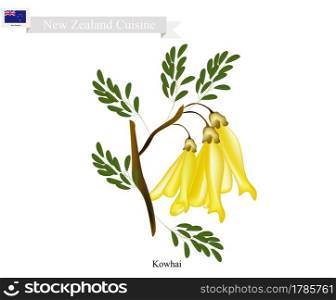 New Zealand Flower, Illustration of Kowhai Flowers. The National Flower of New Zealand.