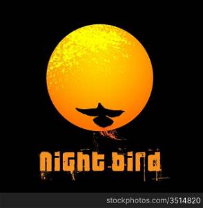 night bird
