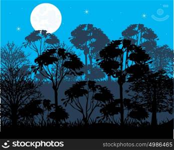 Night in wood. Moon night in wood and silhouettes tree