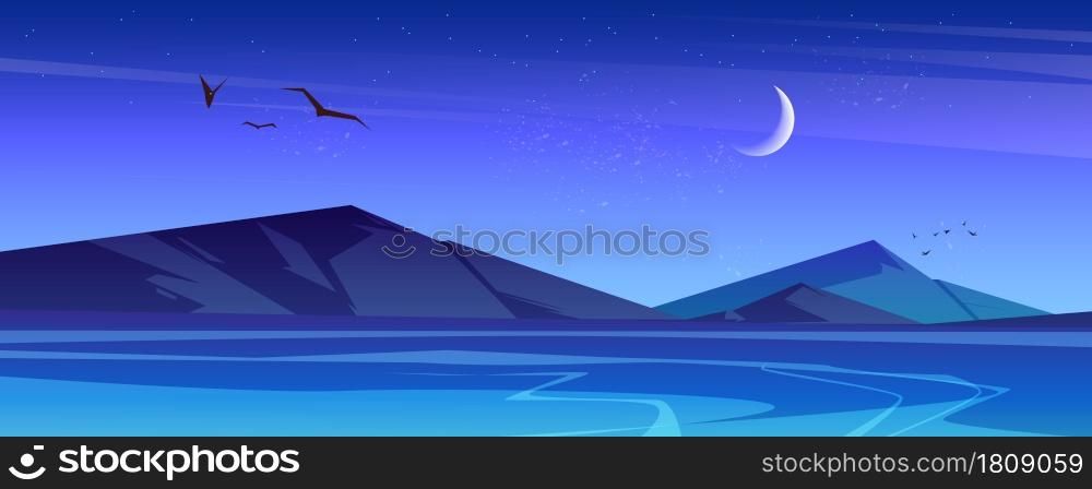 Night landscape with sea and mountains on horizon. Vector cartoon illustration of nature scene of lake with blue water, rocks, flying birds, moon and stars in sky. Night landscape with sea and mountains on horizon