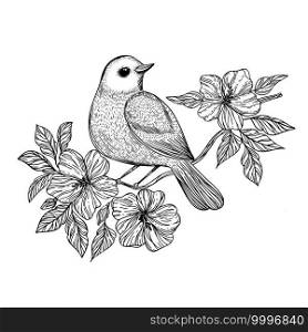 NIGHTINGALE Songbird On A Branch Vector Illustration Set