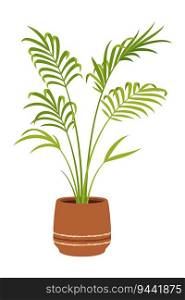 Nikau palm in pot, vector tropical plant with feather-like leaves and a tall slender trunk. Office houseplant with lush green foliage, native to New zealand, Ideal for indoor or outdoor decoration. Nikau palm in pot, flower with lush green foliage