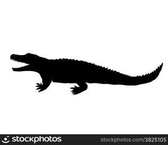 Nile crocodile silhouette