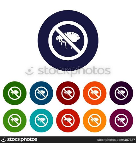 No flea sign set icons in different colors isolated on white background. No flea sign set icons