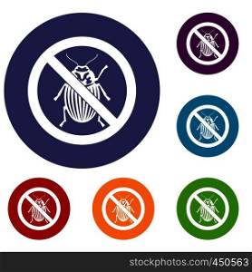 No potato beetle sign icons set in flat circle reb, blue and green color for web. No potato beetle sign icons set