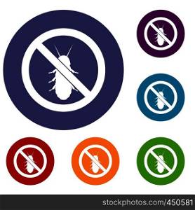 No termite sign icons set in flat circle reb, blue and green color for web. No termite sign icons set