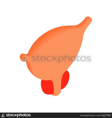 Normal prostate isometric 3d icon. Medical illustration of urinary bladder. Normal prostate isometric 3d icon