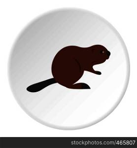 North American beaver icon in flat circle isolated on white vector illustration for web. North American beaver icon circle