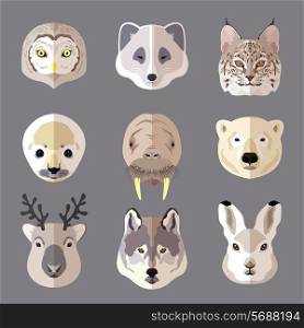 Northern animal and bird portrait flat icons set with owl arctic fox lynx isolated vector illustration.