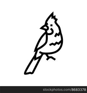 northern cardinal bird exotic line icon vector. northern cardinal bird exotic sign. isolated contour symbol black illustration. northern cardinal bird exotic line icon vector illustration
