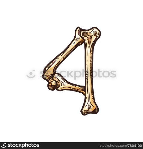 Number four created of bones isolated digit figure. Vector 4 numeral, dia de los muertos font. 4 digit of bones, isolated creative four numeral