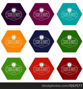 Nut and seed emblem icons 9 set coloful isolated on white for web. Nut and seed emblem icons set 9 vector